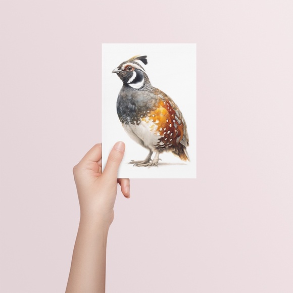 Watercolor Quail Wall Art Print, Unframed - Vibrant Nature-Inspired Home Decor - Picture 5 of 6